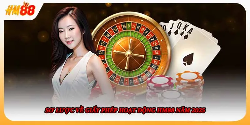 Sơ lược về giấy phép hoạt động HM88 năm 2025